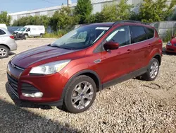 Carros salvage para piezas a la venta en subasta: 2014 Ford Escape SE