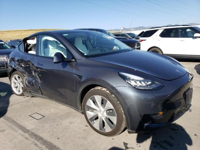 2020 Tesla Model Y