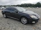 2012 Lexus ES 350