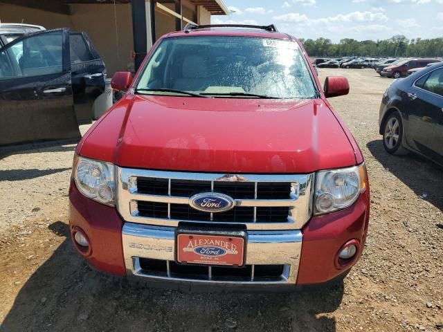 2011 Ford Escape Limited