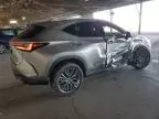 2024 Lexus NX 350 Luxury