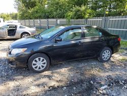 Salvage Cars with No Bids Yet For Sale at auction: 2010 Toyota Corolla Base