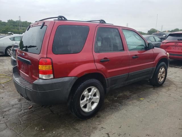 2005 Ford Escape XLT