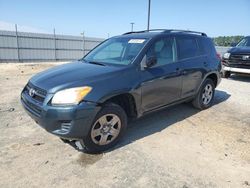 Salvage cars for sale at Lumberton, NC auction: 2010 Toyota Rav4