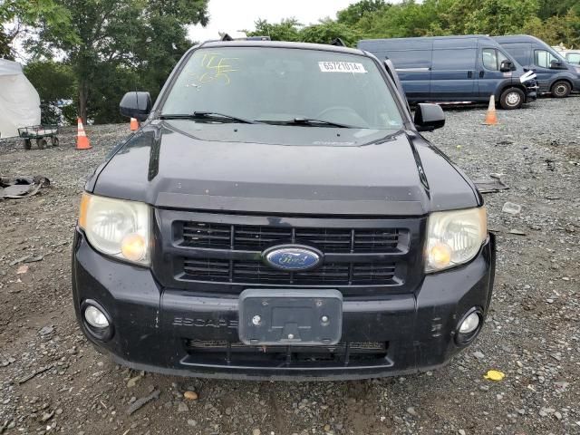 2008 Ford Escape Limited