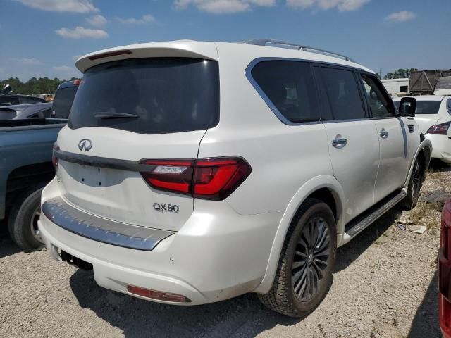 2023 Infiniti QX80 Luxe