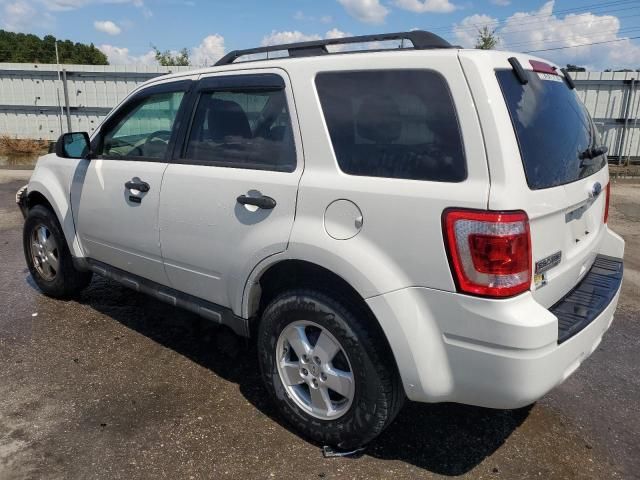 2012 Ford Escape XLT