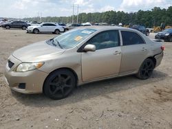 Salvage cars for sale at Greenwell Springs, LA auction: 2010 Toyota Corolla Base