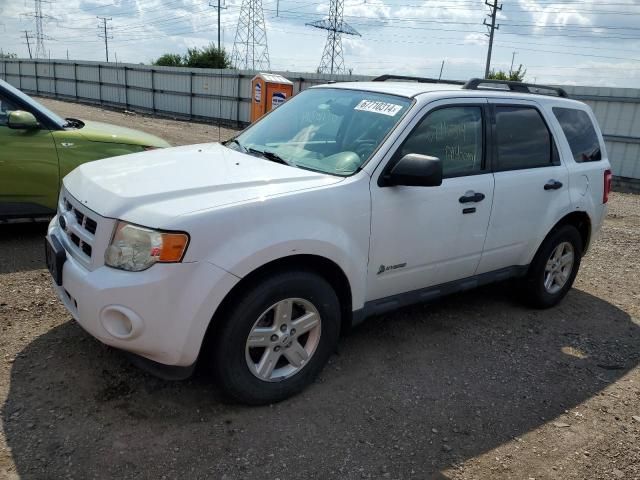 2011 Ford Escape Hybrid