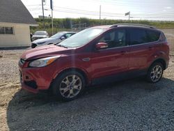 Salvage cars for sale at Northfield, OH auction: 2014 Ford Escape Titanium