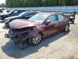 Salvage cars for sale at Glassboro, NJ auction: 2014 Honda Accord EXL