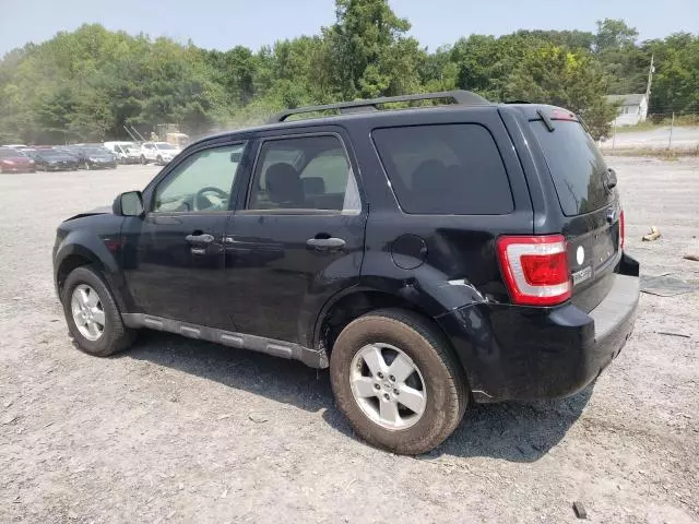 2009 Ford Escape XLT