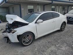 Salvage cars for sale at Earlington, KY auction: 2008 Scion TC