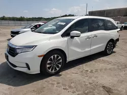 2021 Honda Odyssey EXL en venta en Fredericksburg, VA