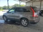 2010 Honda CR-V EXL