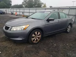 Salvage cars for sale at Finksburg, MD auction: 2009 Honda Accord EXL