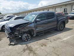 Salvage cars for sale at Louisville, KY auction: 2021 Toyota Tacoma Double Cab