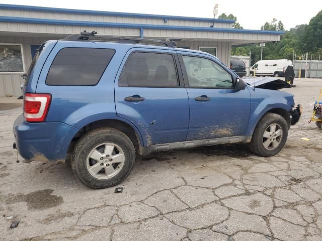 2009 Ford Escape XLT