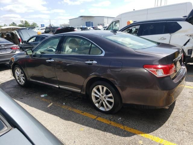 2011 Lexus ES 350