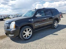 2007 Cadillac Escalade Luxury en venta en Helena, MT