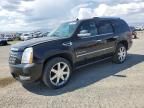 2007 Cadillac Escalade Luxury