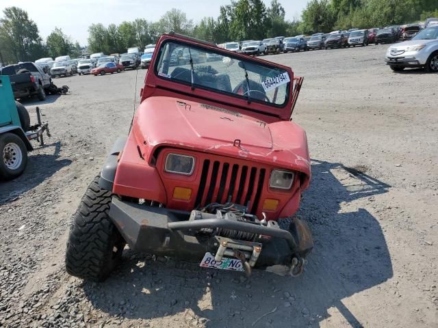 1990 Jeep Wrangler / YJ Islander