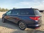 2024 Honda Odyssey EXL