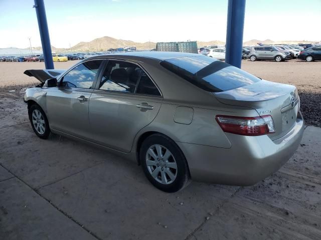 2009 Toyota Camry Hybrid