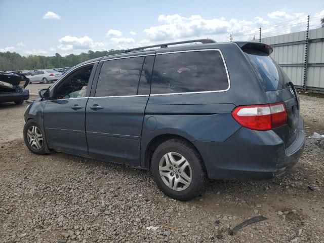 2005 Honda Odyssey EXL