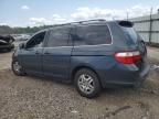 2005 Honda Odyssey EXL