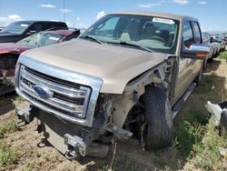 Salvage trucks for sale at Brighton, CO auction: 2013 Ford F150 Supercrew