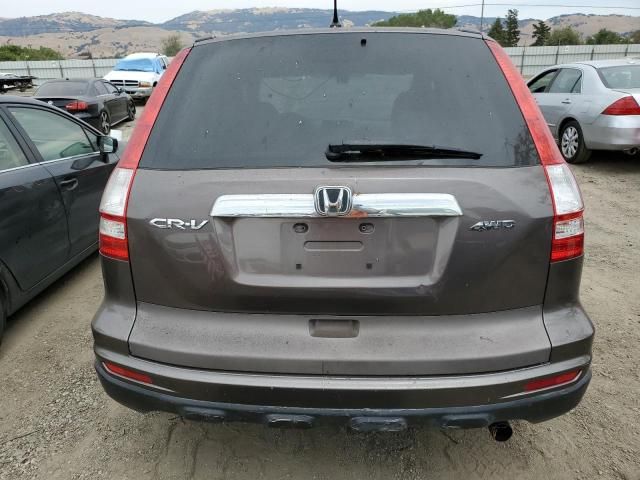 2010 Honda CR-V EX