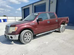 Salvage trucks for sale at Haslet, TX auction: 2010 Ford F150 Supercrew