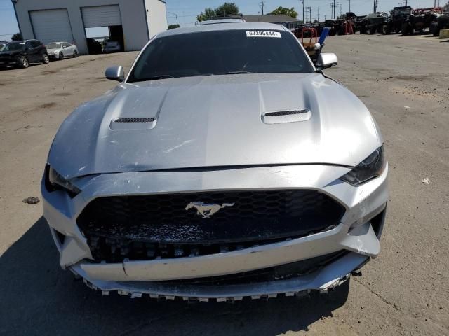 2019 Ford Mustang