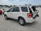 2009 Ford Escape Limited