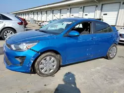 Salvage cars for sale at Louisville, KY auction: 2023 KIA Rio LX