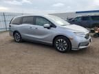 2024 Honda Odyssey EXL