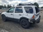 2002 Ford Escape XLT