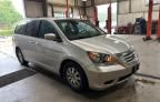 2008 Honda Odyssey EXL