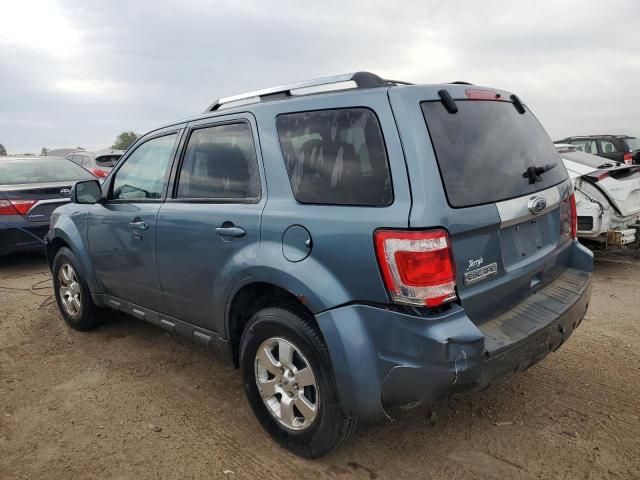 2010 Ford Escape Limited