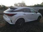 2023 Lexus RX 350 Base