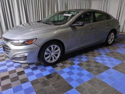 Salvage cars for sale at Graham, WA auction: 2023 Chevrolet Malibu LT