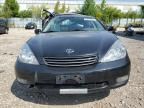 2004 Lexus ES 330