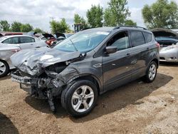 Ford Vehiculos salvage en venta: 2016 Ford Escape SE