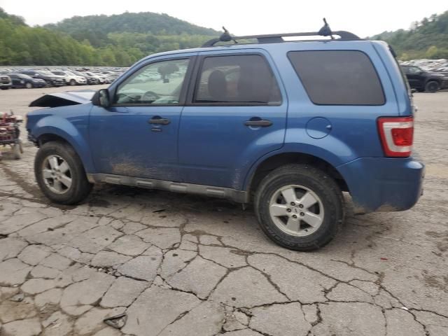 2009 Ford Escape XLT