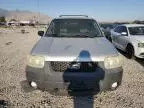 2007 Ford Escape XLT