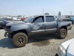 Salvage cars for sale from Copart Eugene, OR: 2014 Toyota Tacoma Double Cab