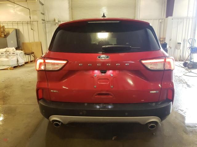 2020 Ford Escape SEL