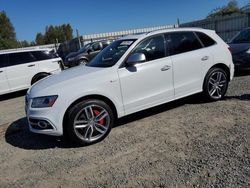 2016 Audi SQ5 Premium Plus en venta en Arlington, WA