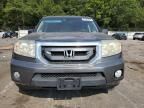 2010 Honda Pilot EXL